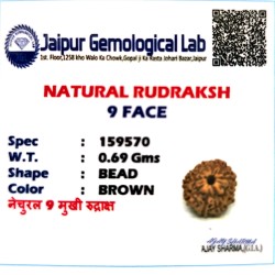 9 Mukhi Indonesia Rudraksha – Original & Certified Navmukhi Bead